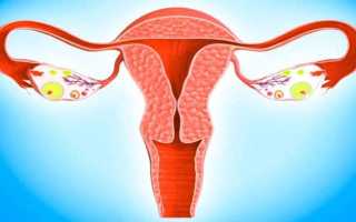 Толщина эндометрия в менопаузе: норма по УЗИ