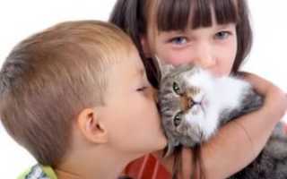 Виды анализа на аллергию на котов
